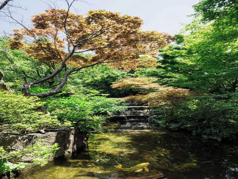 The Westin Tokyo image