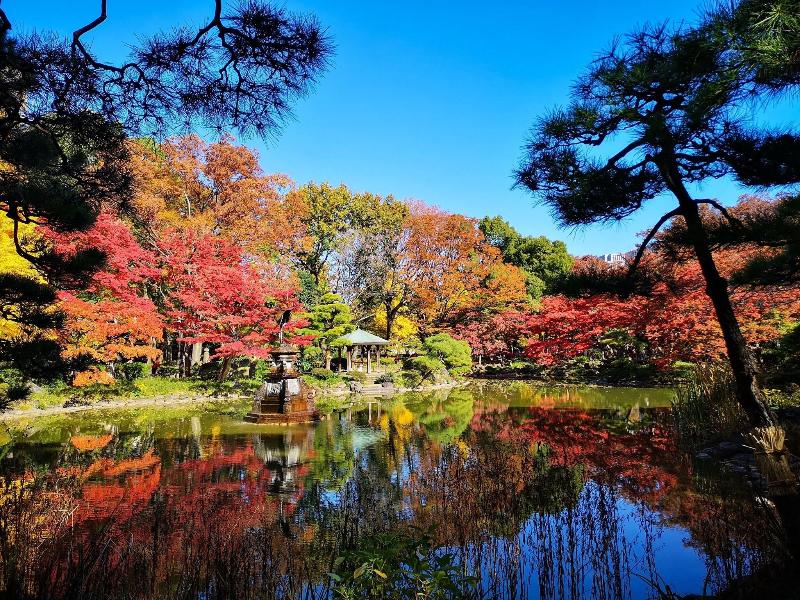 The Westin Tokyo image