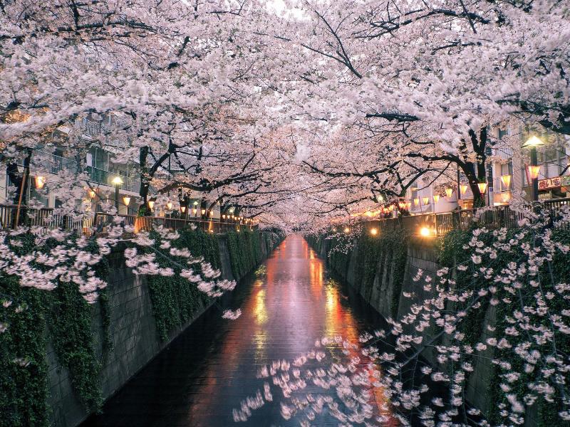 The Westin Tokyo image