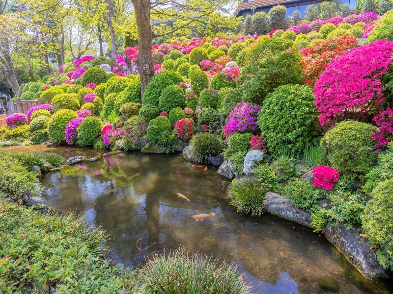 The Westin Tokyo image