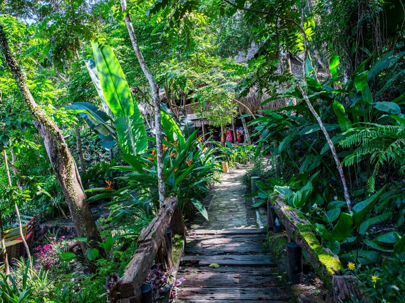 Pu Luong Jungle Lodge image