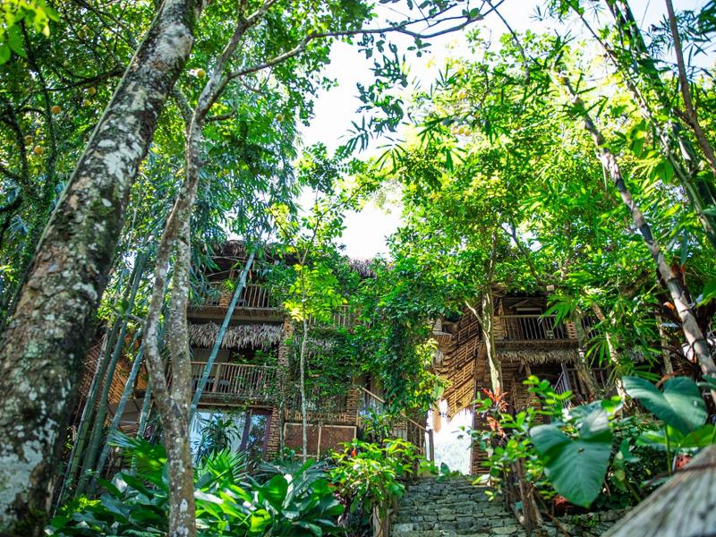Pu Luong Jungle Lodge image
