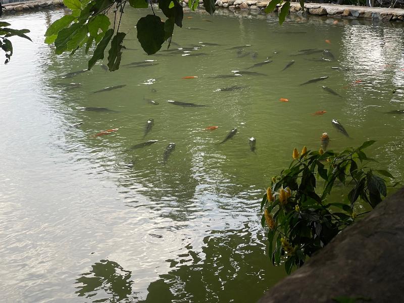 Pu Luong Jungle Lodge image
