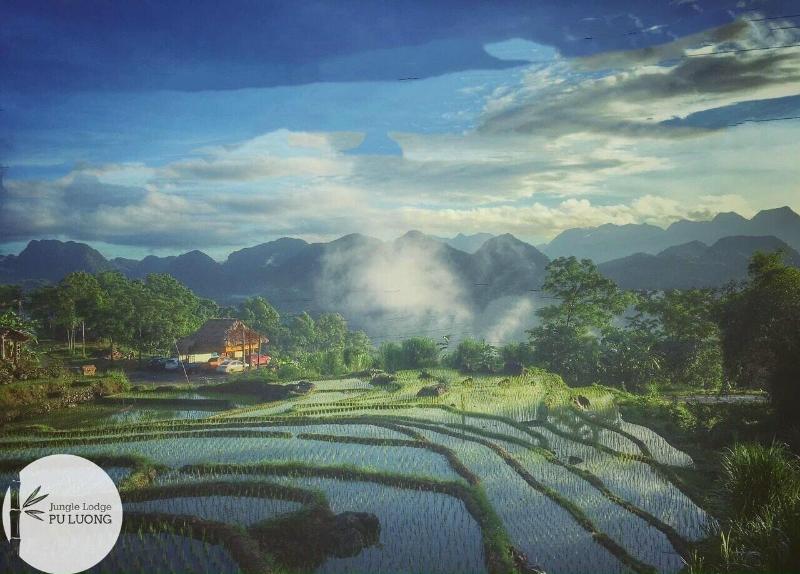 Pu Luong Jungle Lodge image