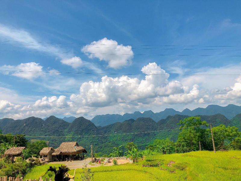 Pu Luong Jungle Lodge image