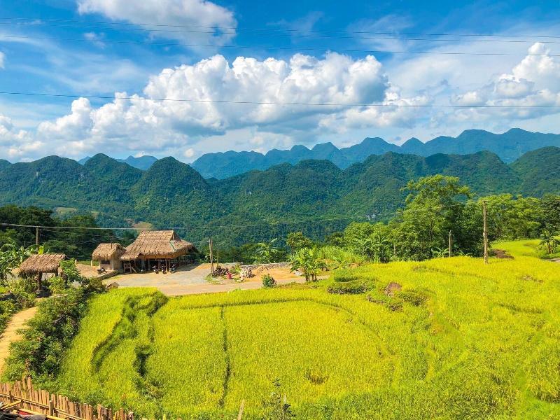 Pu Luong Jungle Lodge image