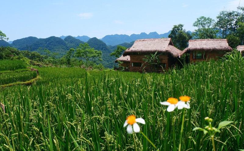 Pu Luong Jungle Lodge image