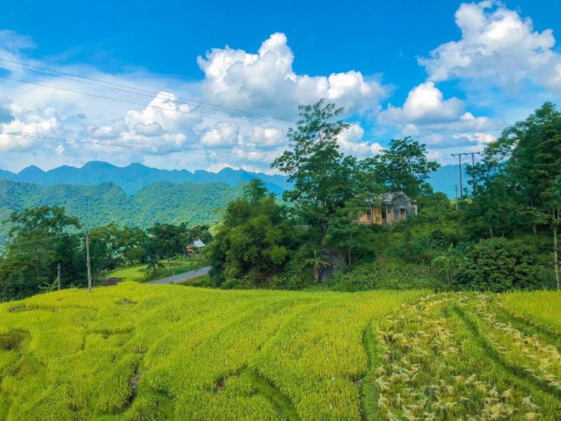 Pu Luong Jungle Lodge image