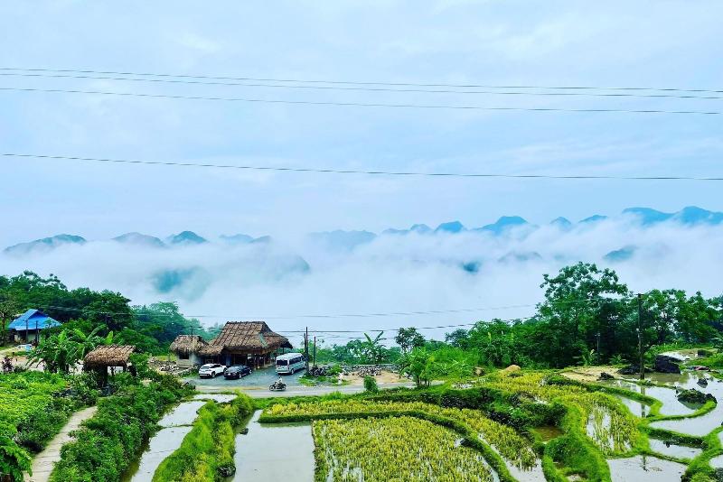 Pu Luong Jungle Lodge image