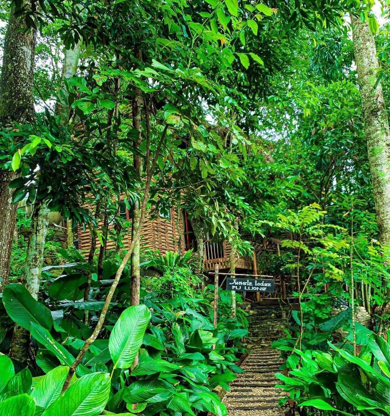 Pu Luong Jungle Lodge image