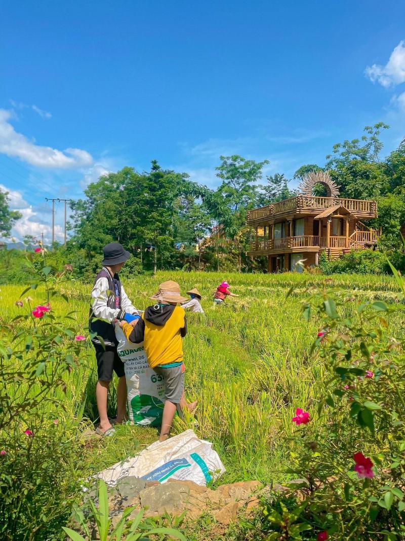 Pu Luong Jungle Lodge image