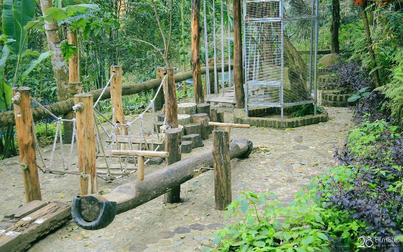 Pu Luong Jungle Lodge image