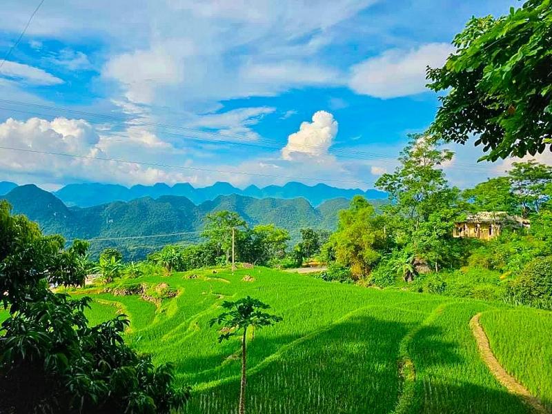 Pu Luong Jungle Lodge image