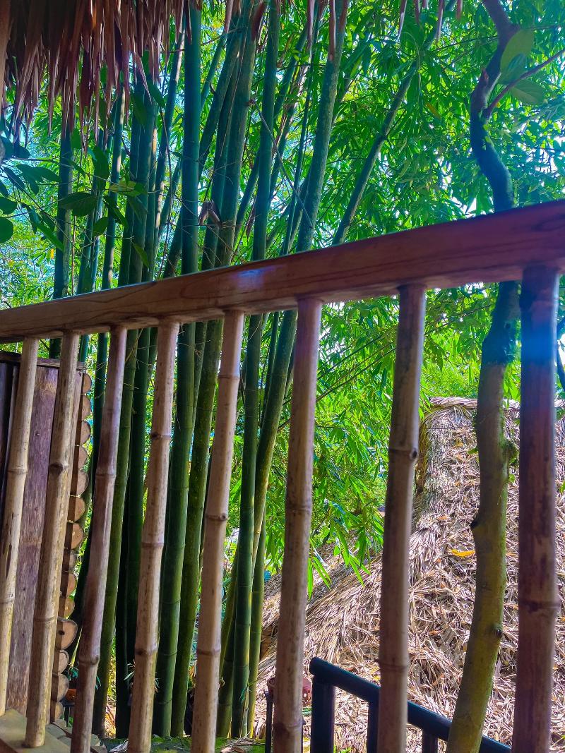 Pu Luong Jungle Lodge image