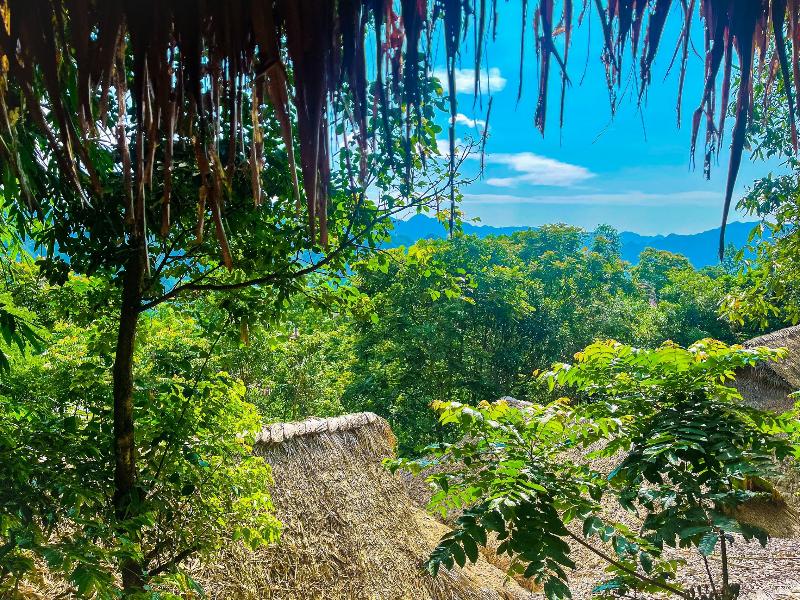 Pu Luong Jungle Lodge image