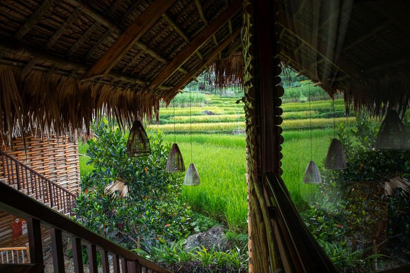 Pu Luong Jungle Lodge image