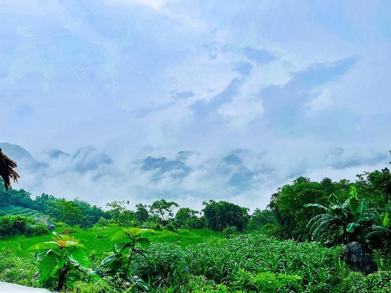 Pu Luong Jungle Lodge image