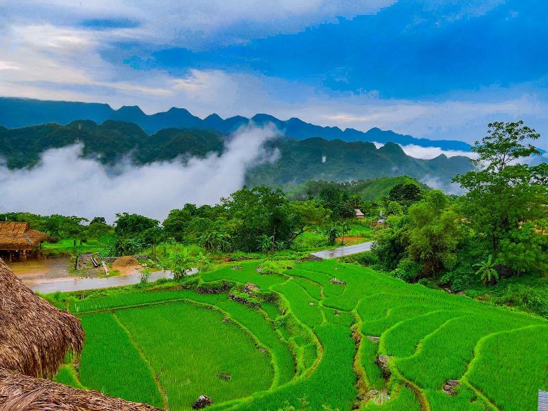 Pu Luong Jungle Lodge image