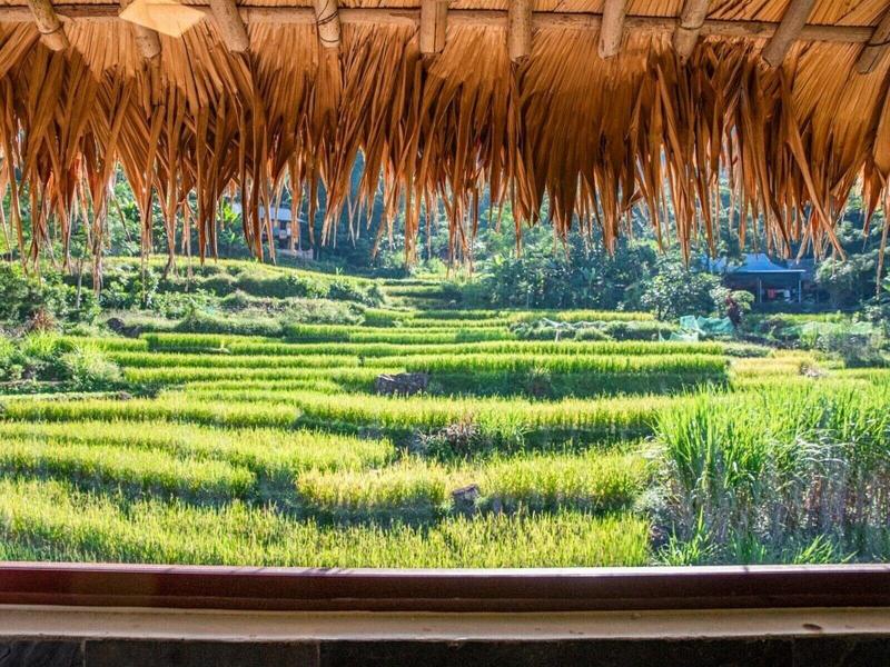 Pu Luong Jungle Lodge image