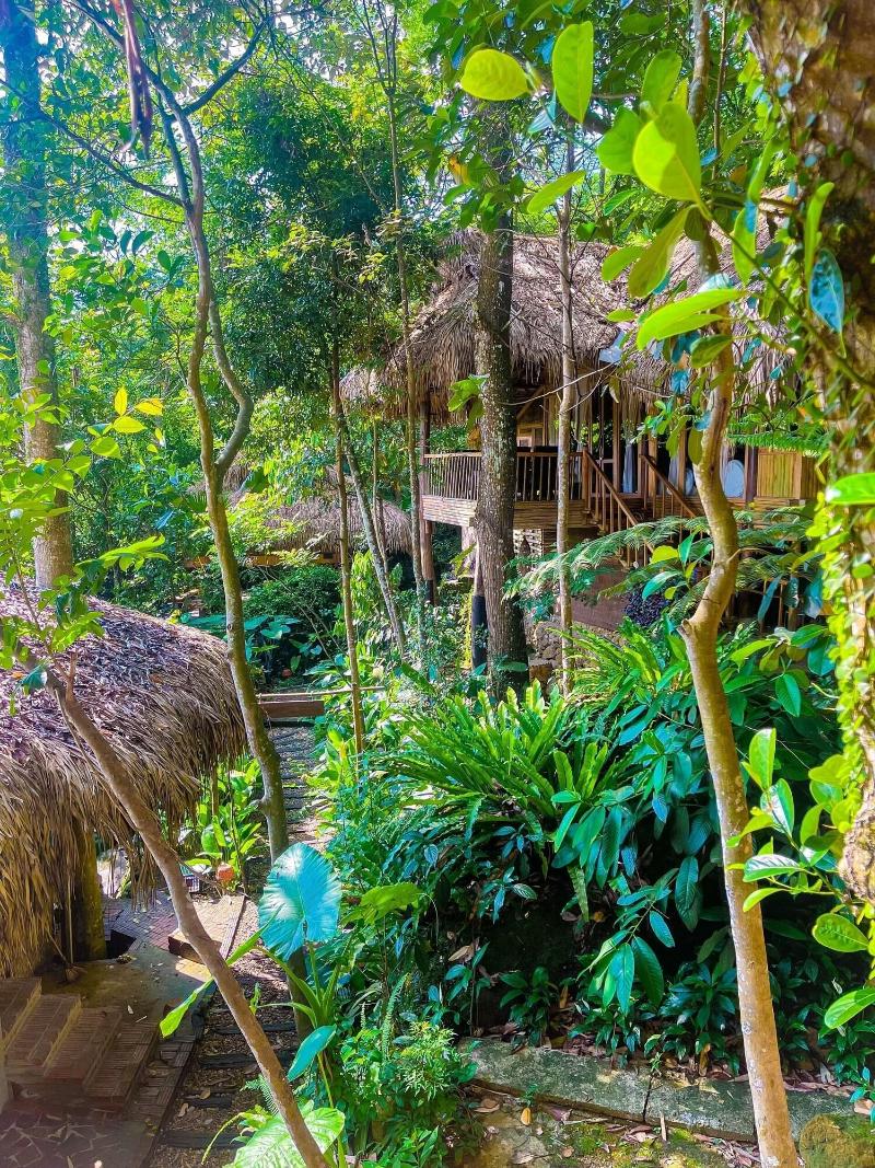 Pu Luong Jungle Lodge image