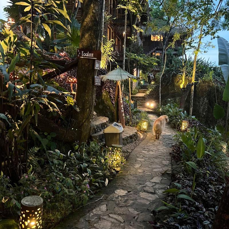 Pu Luong Jungle Lodge image