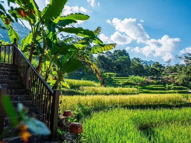 Pu Luong Jungle Lodge image