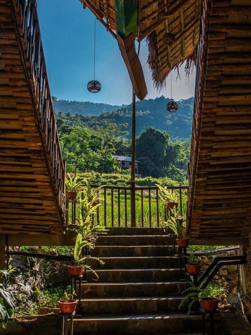 Pu Luong Jungle Lodge image