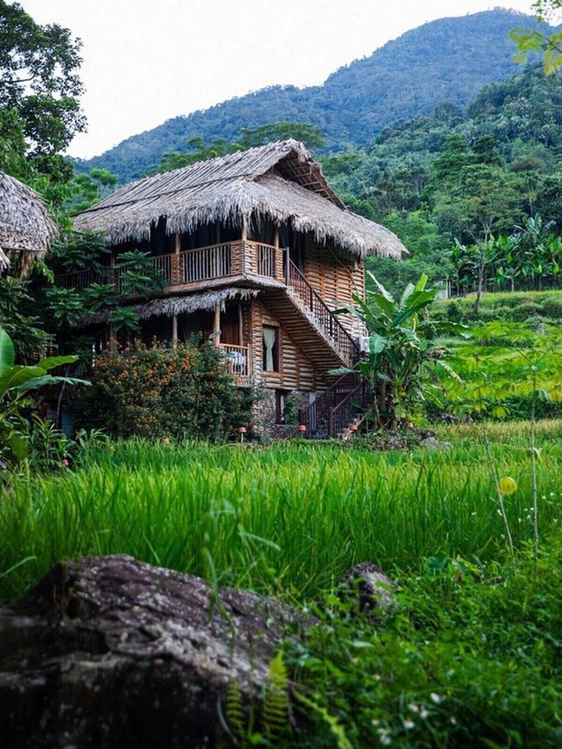 Pu Luong Jungle Lodge image