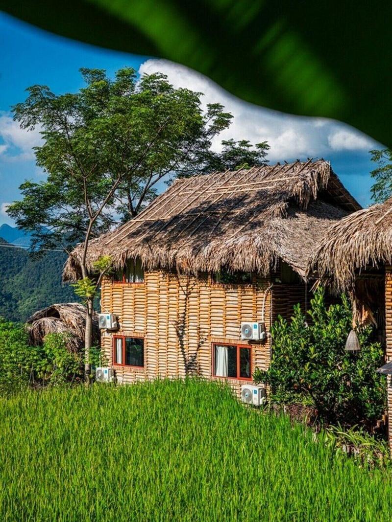 Pu Luong Jungle Lodge image