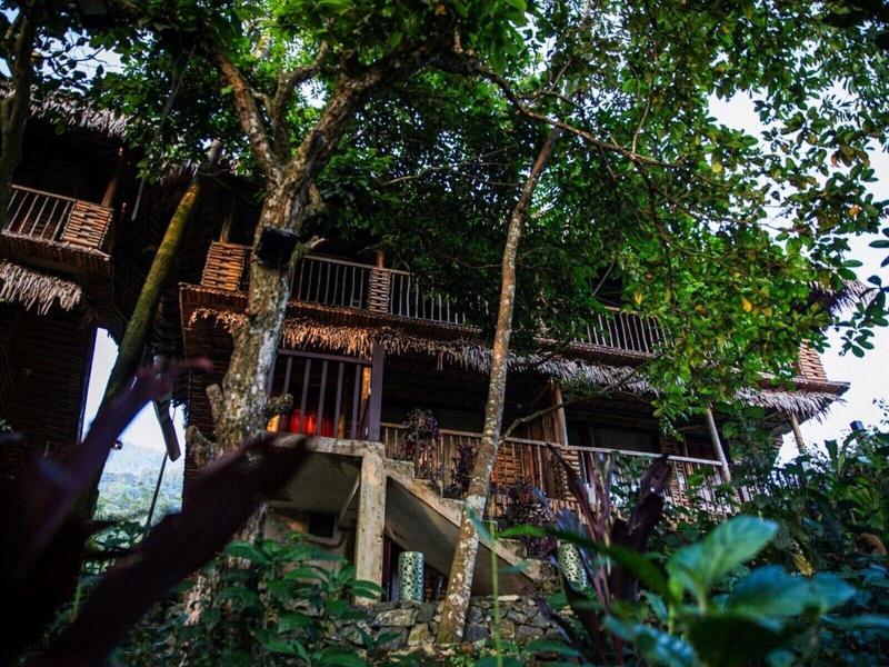 Pu Luong Jungle Lodge image