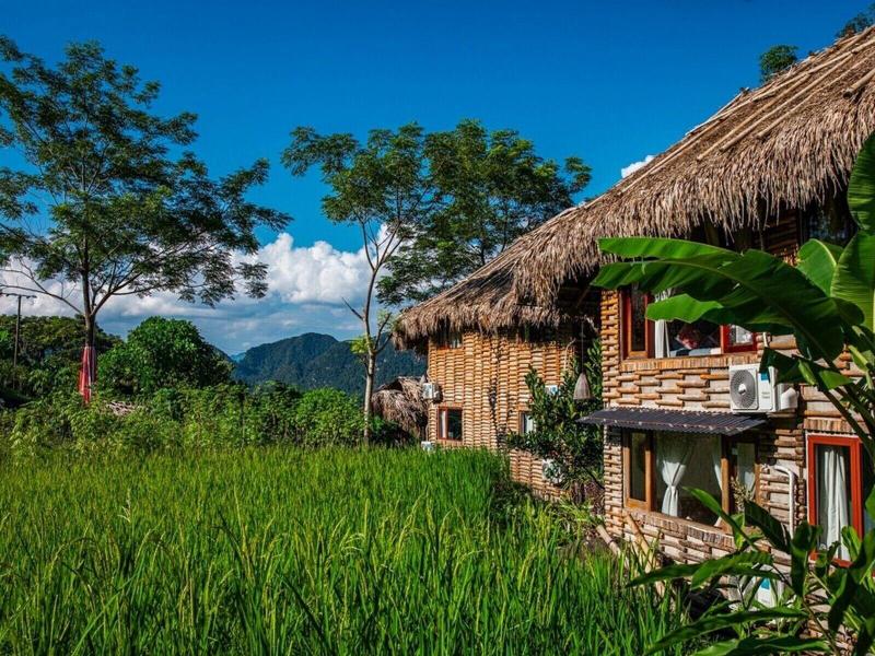 Pu Luong Jungle Lodge image