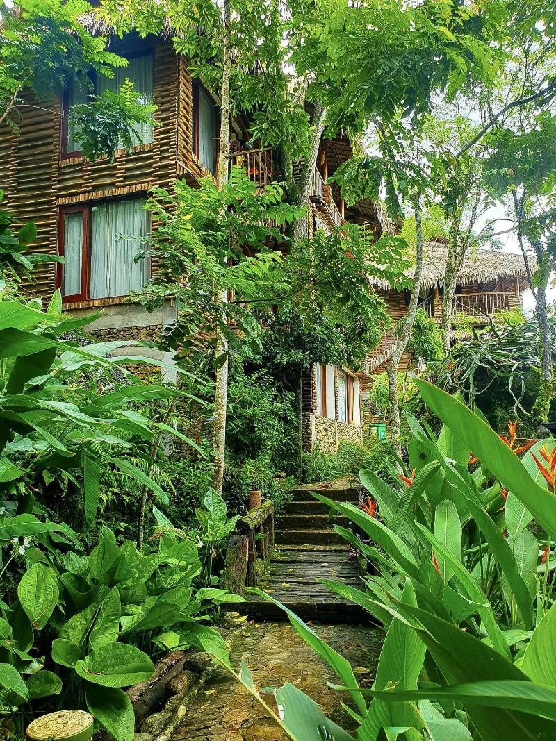 Pu Luong Jungle Lodge image
