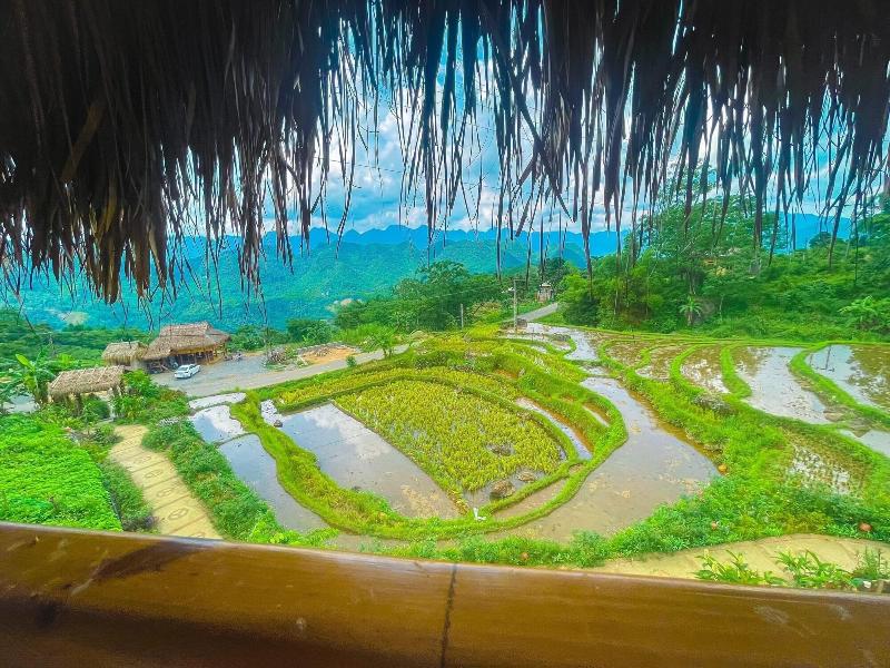 Pu Luong Jungle Lodge image