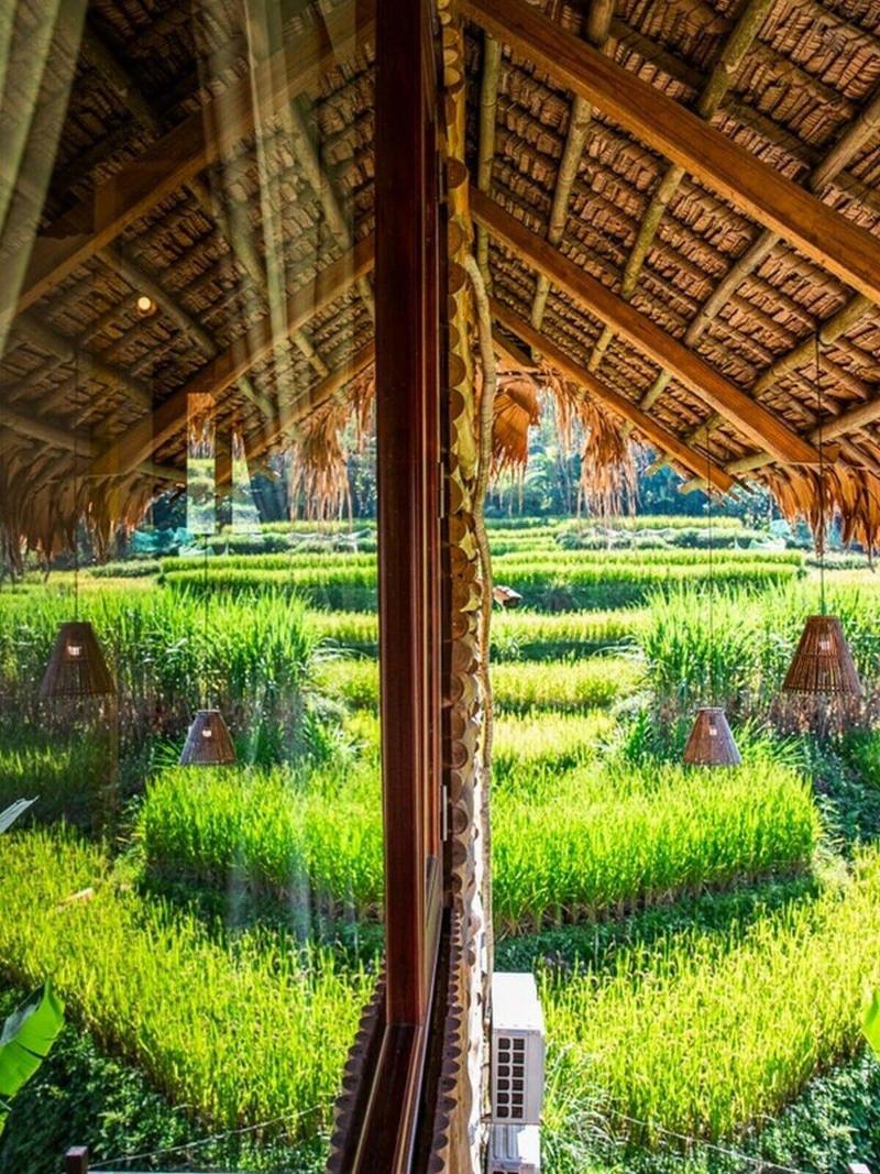 Pu Luong Jungle Lodge image