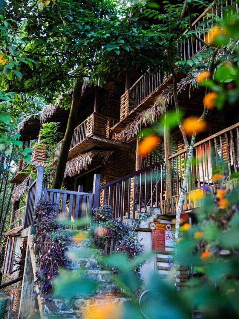 Pu Luong Jungle Lodge image