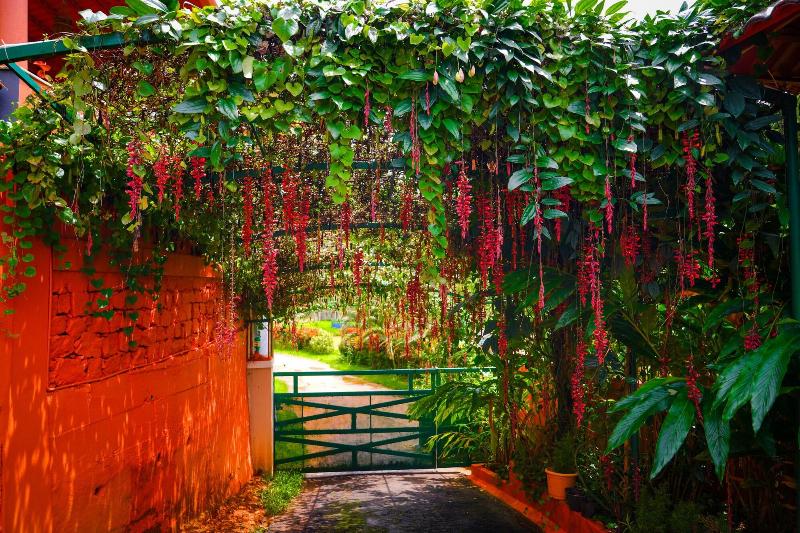 Deva Maani Coorg Nature Holiday image