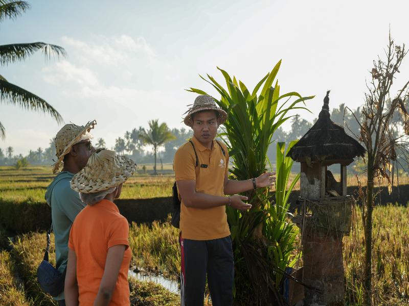 AnandaDara Ubud Resort & Spa image