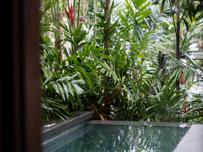 AnandaDara Ubud Resort & Spa image