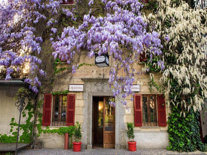 Albergo Ristorante la Madonnina image