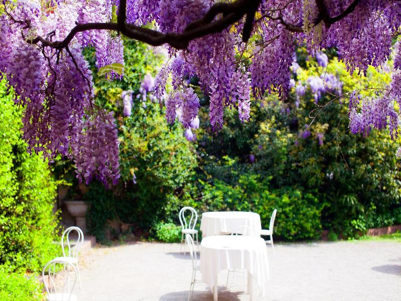 Albergo Ristorante la Madonnina image