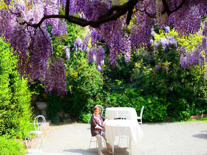 Albergo Ristorante la Madonnina image