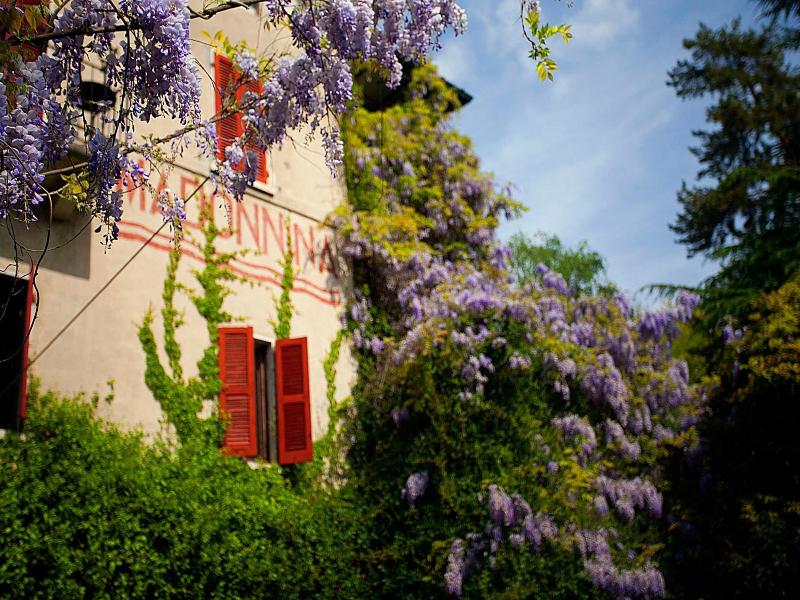 Albergo Ristorante la Madonnina image
