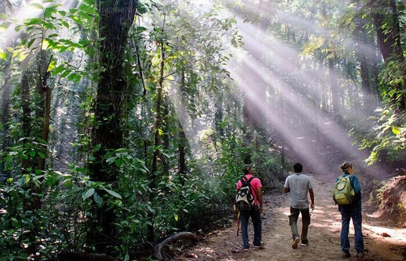 Kandy Victoria Eco Resort image