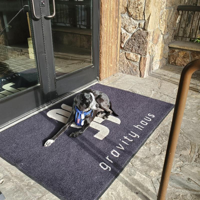 Gravity Haus Vail image