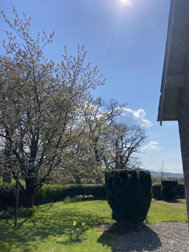Cardross Estate Holiday Cottages image