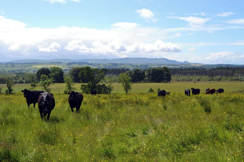 Cardross Estate Holiday Cottages image