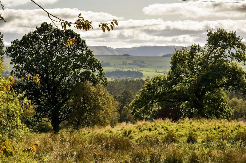 Cardross Estate Holiday Cottages image