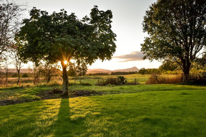 Cardross Estate Holiday Cottages image