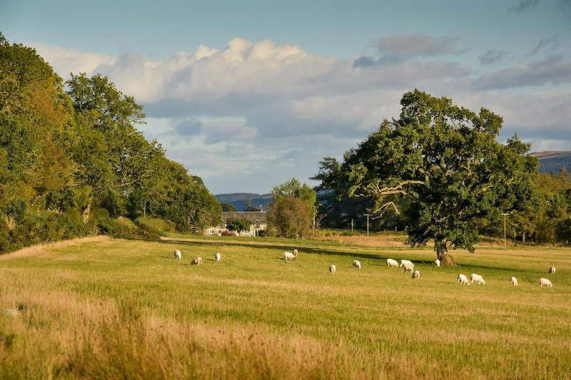 Cardross Estate Holiday Cottages image