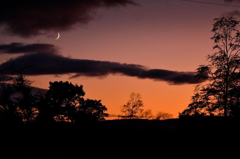Cardross Estate Holiday Cottages image